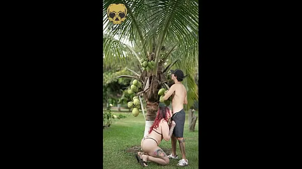 Ein kleiner aber feiner Outdoor-Blowjob